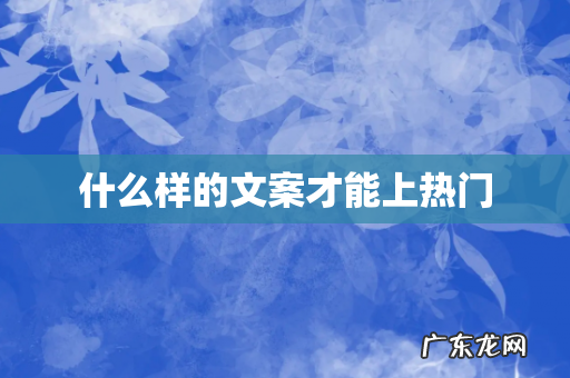 什么样的文案才能上热门