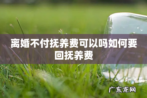 离婚不付抚养费可以吗如何要回抚养费