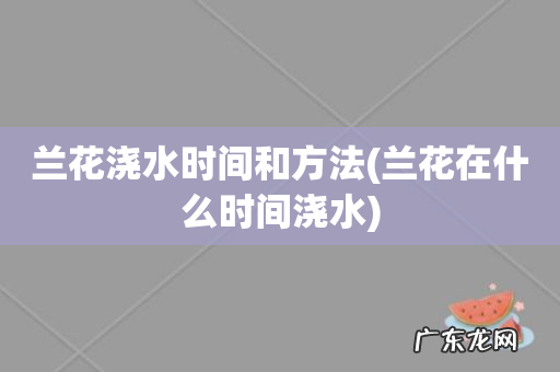 兰花在什么时间浇水 兰花浇水时间和方法