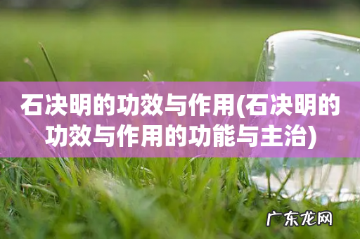 石决明的功效与作用的功能与主治 石决明的功效与作用