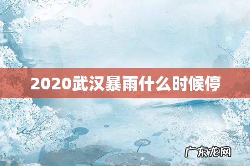 2020武汉暴雨什么时候停