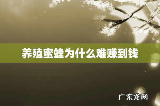 养殖蜜蜂为什么难赚到钱