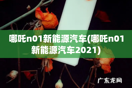 哪吒n01新能源汽车2021 哪吒n01新能源汽车