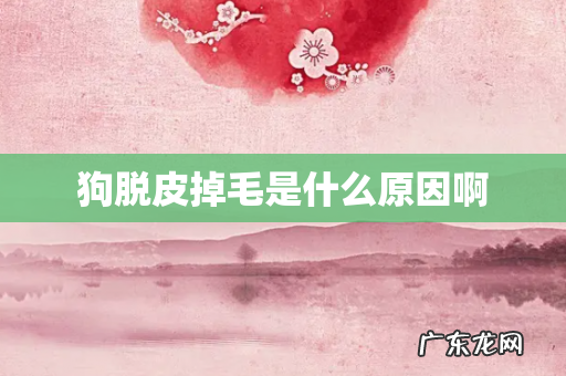 狗脱皮掉毛是什么原因啊