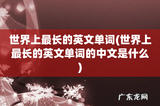 世界上最长的英文单词的中文是什么 世界上最长的英文单词