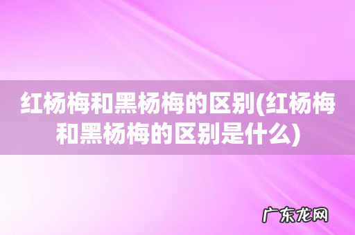 红杨梅和黑杨梅的区别是什么 红杨梅和黑杨梅的区别