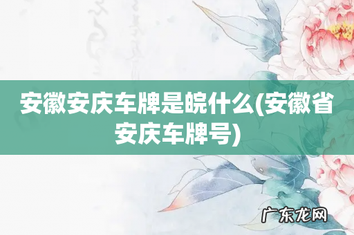 安徽省安庆车牌号 安徽安庆车牌是皖什么