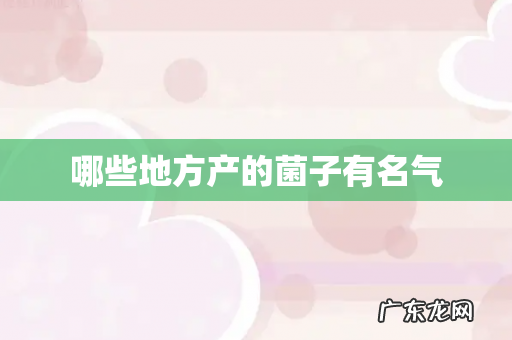 哪些地方产的菌子有名气