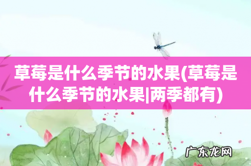 草莓是什么季节的水果|两季都有 草莓是什么季节的水果
