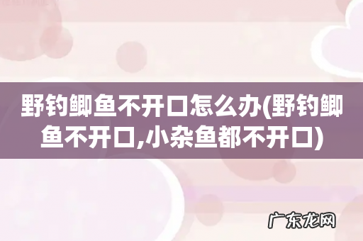野钓鲫鱼不开口,小杂鱼都不开口 野钓鲫鱼不开口怎么办