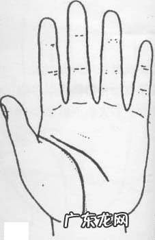 生命线有疤痕会有影响吗 生命线有伤疤好不好