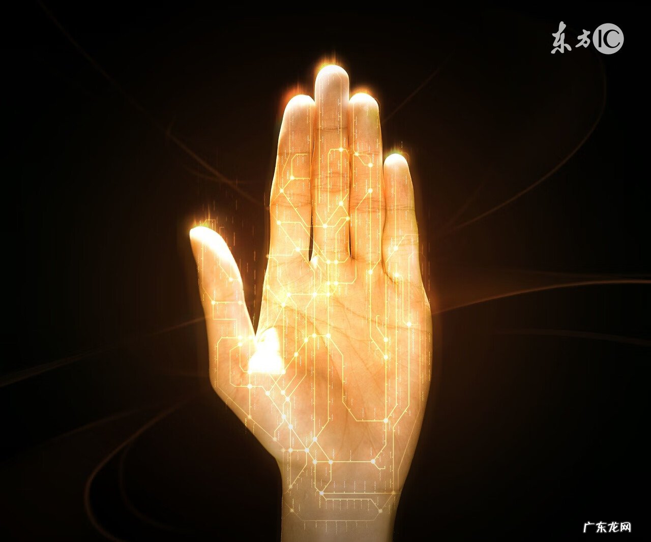 生命线有疤痕会有影响吗 生命线有伤疤好不好