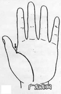 生命线有疤痕会有影响吗 生命线有伤疤好不好