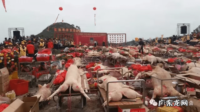 三柏李视频 吴阳三柏李祖坟风水