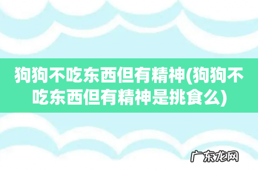 狗狗不吃东西但有精神是挑食么 狗狗不吃东西但有精神