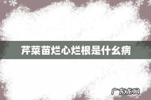 芹菜苗烂心烂根是什幺病