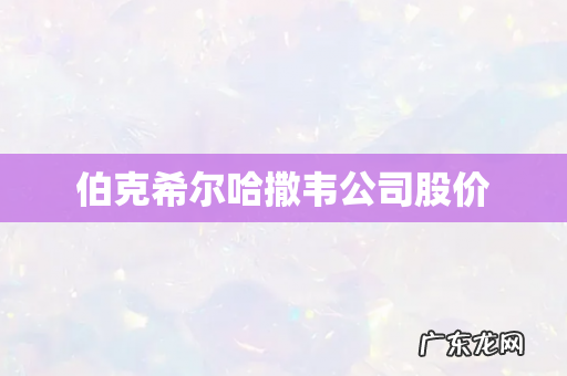 伯克希尔哈撒韦公司股价