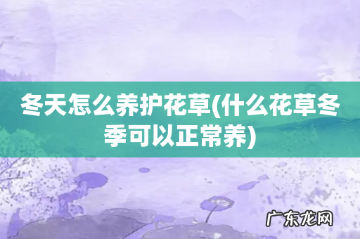 什么花草冬季可以正常养 冬天怎么养护花草