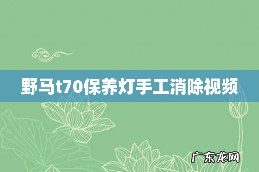 野马t70保养灯手工消除视频