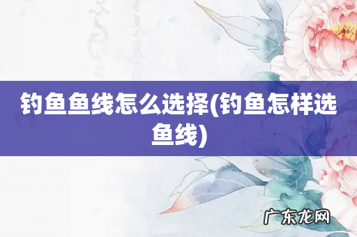 钓鱼怎样选鱼线 钓鱼鱼线怎么选择