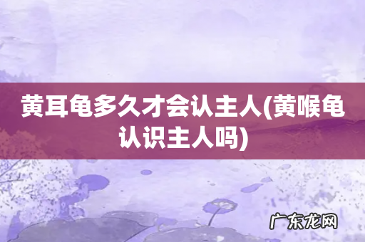 黄喉龟认识主人吗 黄耳龟多久才会认主人