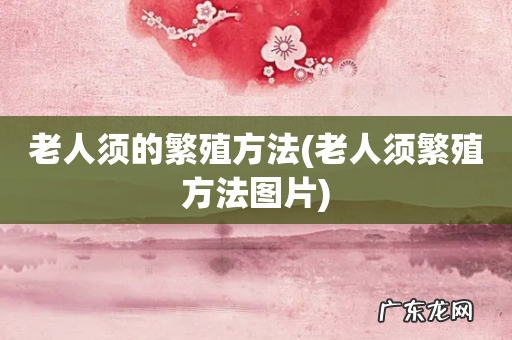 老人须繁殖方法图片 老人须的繁殖方法