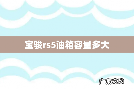 宝骏rs5油箱容量多大