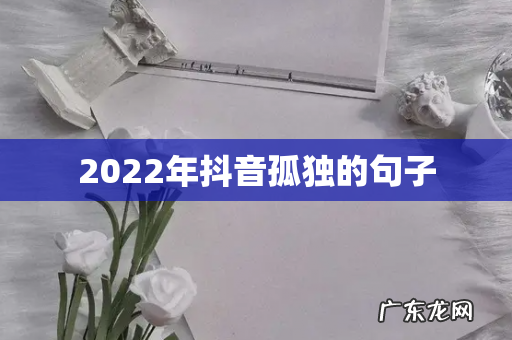 2022年抖音孤独的句子