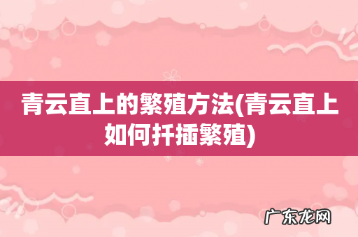 青云直上如何扦插繁殖 青云直上的繁殖方法