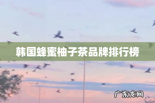 韩国蜂蜜柚子茶品牌排行榜