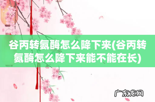 谷丙转氨酶怎么降下来能不能在长 谷丙转氨酶怎么降下来