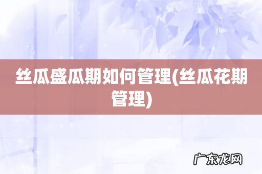 丝瓜花期管理 丝瓜盛瓜期如何管理