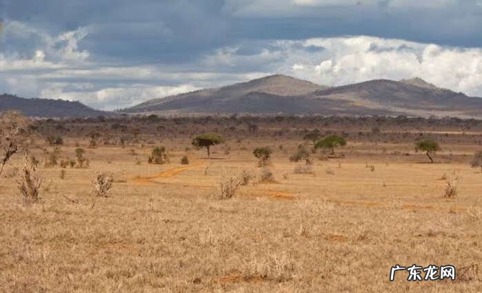 非洲帝国小说 非洲帝国有哪些