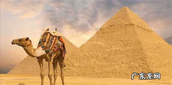 非洲帝国小说 非洲帝国有哪些