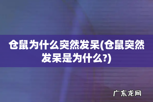 仓鼠突然发呆是为什么? 仓鼠为什么突然发呆