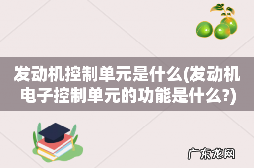 发动机电子控制单元的功能是什么? 发动机控制单元是什么