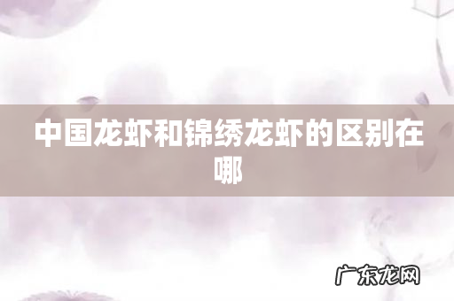 中国龙虾和锦绣龙虾的区别在哪