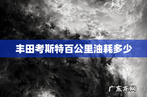 丰田考斯特百公里油耗多少