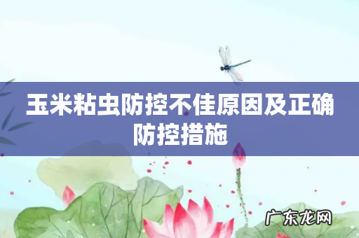 玉米粘虫防控不佳原因及正确防控措施