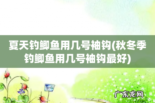 秋冬季钓鲫鱼用几号袖钩最好 夏天钓鲫鱼用几号袖钩