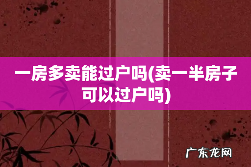 卖一半房子可以过户吗 一房多卖能过户吗