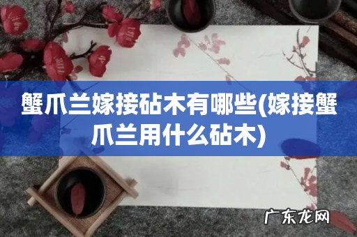 嫁接蟹爪兰用什么砧木 蟹爪兰嫁接砧木有哪些