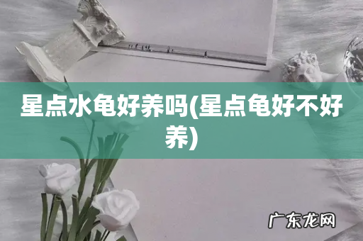 星点龟好不好养 星点水龟好养吗