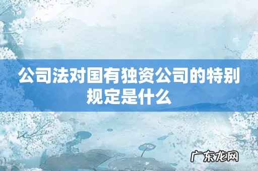 公司法对国有独资公司的特别规定是什么