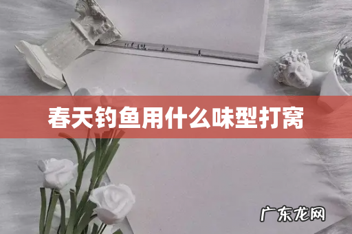 春天钓鱼用什么味型打窝
