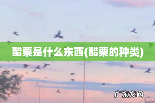 醋栗的种类 醋栗是什么东西