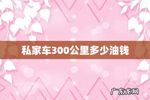 私家车300公里多少油钱