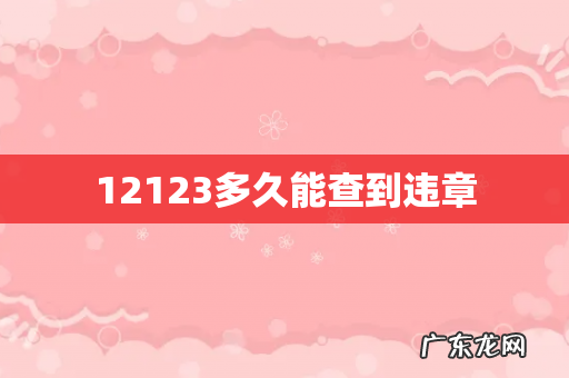 12123多久能查到违章