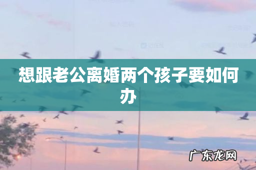 想跟老公离婚两个孩子要如何办