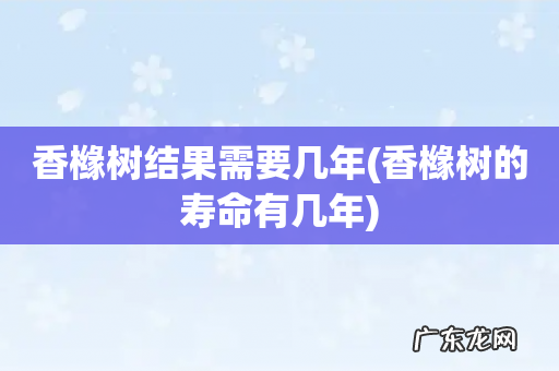 香橼树的寿命有几年 香橼树结果需要几年
